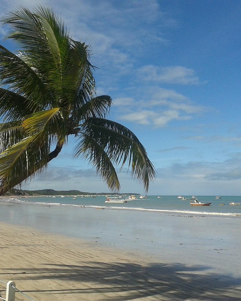 Praia de coqueiros no litoral do Nordeste